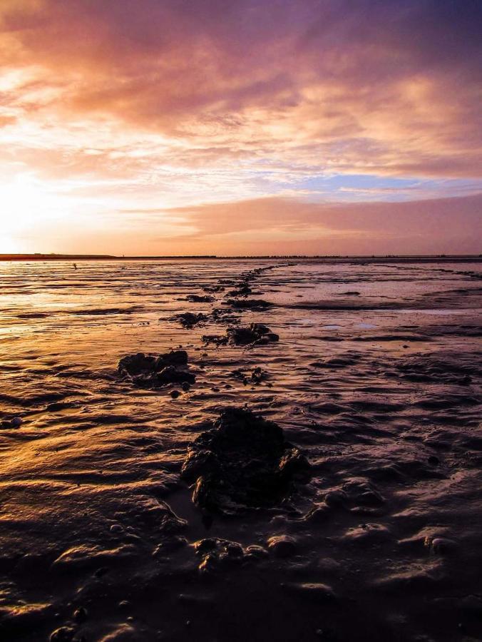 Vissershuisje Aan De Waddenzee Paesens 外观 照片