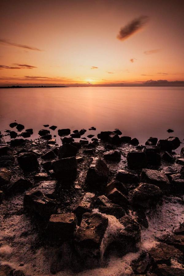 Vissershuisje Aan De Waddenzee Paesens 外观 照片
